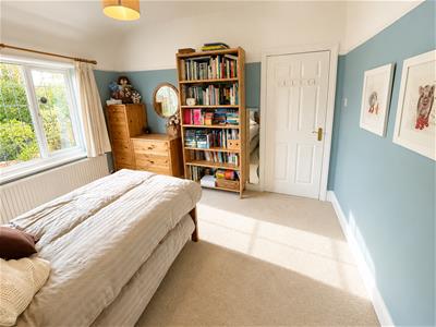 Picture 20